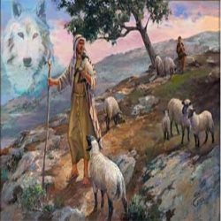 الراعي الي ربط سرحان