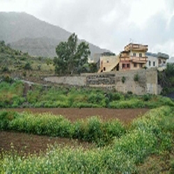 صور من بني مالك الطائف  حديثه